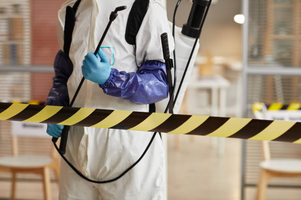 Professional Sewage Cleanup technician working in Clarksville, TX